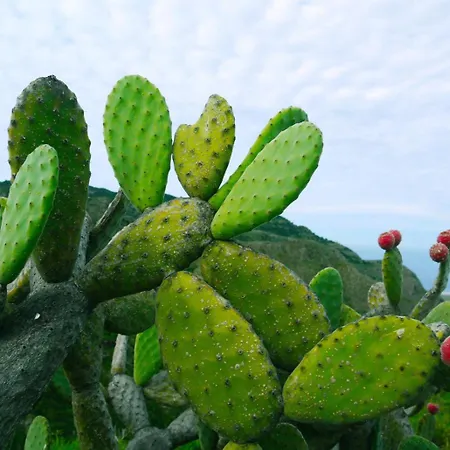 Nicarè Agrigento